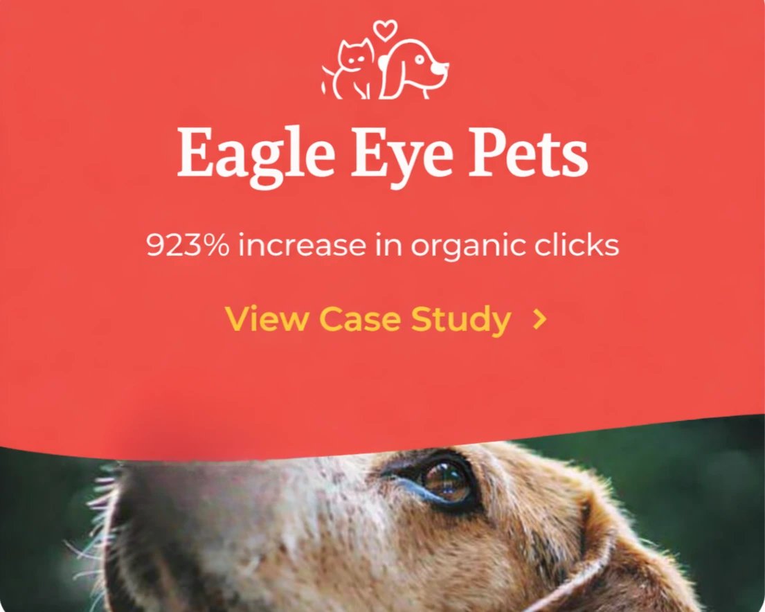 Eagle Eye Pets ecommerce website SEO result showing traffic growth and keyword ranking improvement by View It Digital