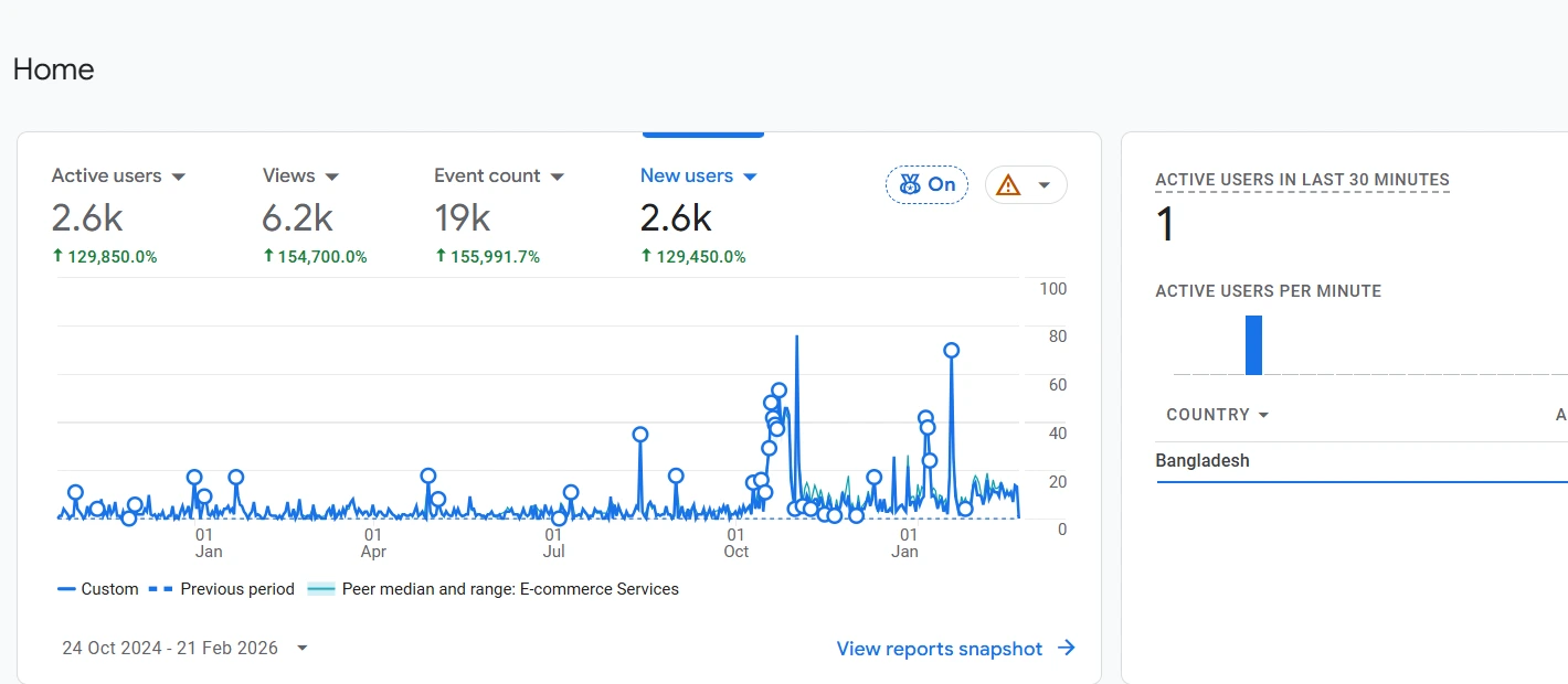 SEO Campaign – Organic Performance Improvement