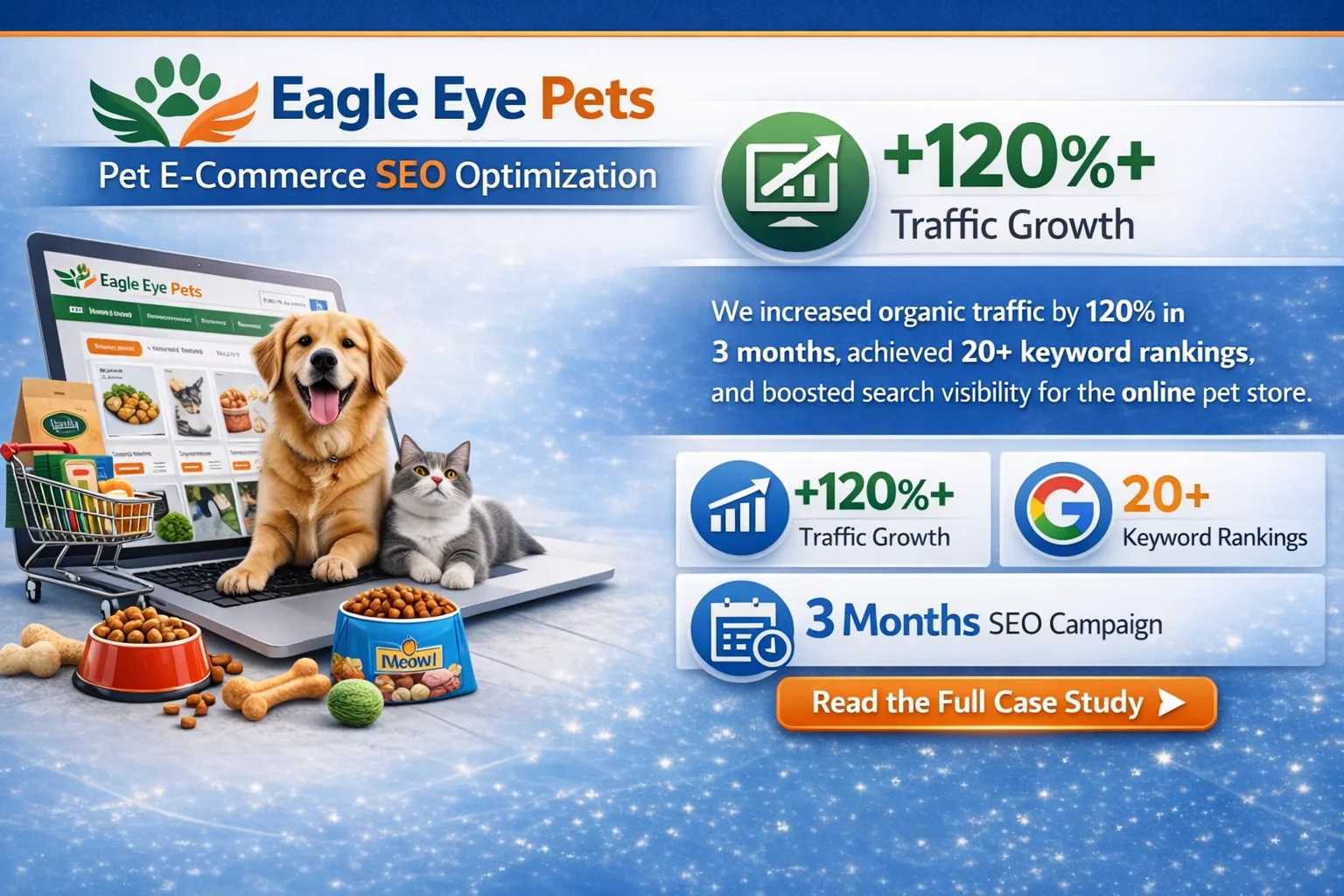 Ecommerce SEO optimization