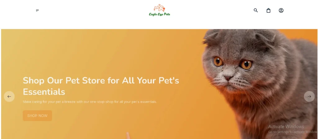 Ecommerce SEO optimization